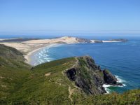 NEWZEALAND