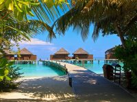 MALDIVES