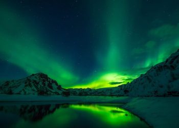 BLOG-3